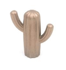 cactus covered