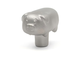 Cute pig covered